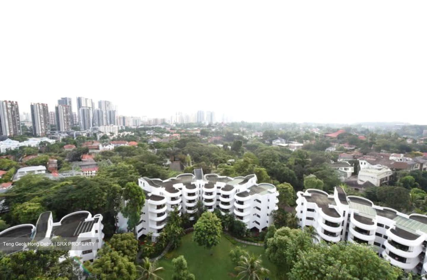 Regency Park (D10), Condominium #622241181
